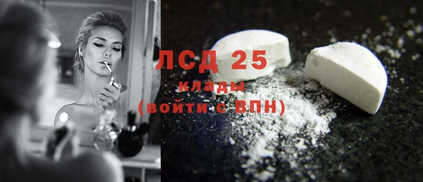 ПСИЛОЦИБИНОВЫЕ ГРИБЫ Липки
