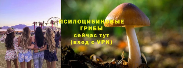 гидра Лиски