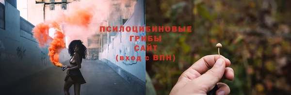 гидра Лиски