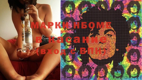 ПСИЛОЦИБИНОВЫЕ ГРИБЫ Липки