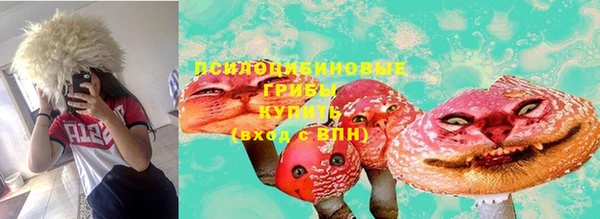 гидра Лиски