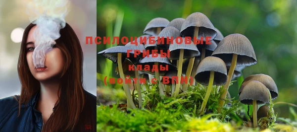 ПСИЛОЦИБИНОВЫЕ ГРИБЫ Липки