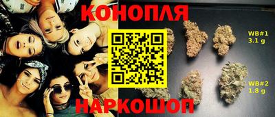 молекула духа Донской