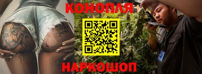 молекула духа Донской