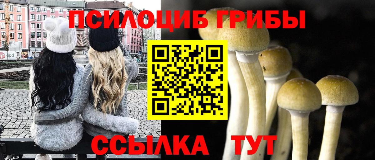 Галлюциногенные грибы GOLDEN TEACHER Заречный