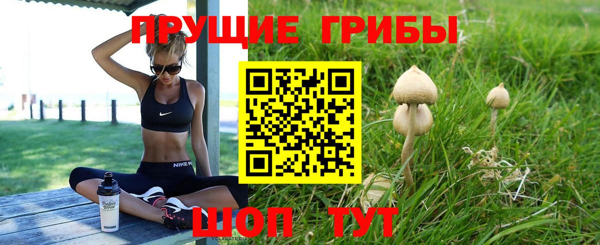 Галлюциногенные грибы Magic Shrooms  Галлюциногенные грибы прущие грибы  Заречный  Вход с VPN 