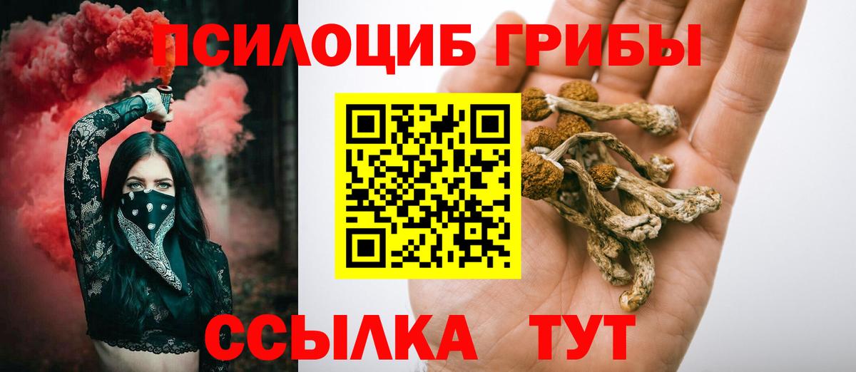 Галлюциногенные грибы Cubensis  Заречный 